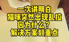 猫咪乱拉屎是怎么回事(如何处理猫咪乱拉屎问题？猫咪拉屎原因与解决方法)