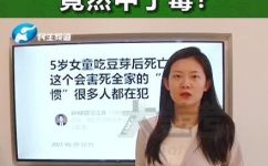 隔夜豆芽能吃吗(隔夜豆芽是否安全食用？解读你需知的安全问题)