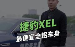 捷豹皮具是什么档次(探究捷豹皮具的品质与档次，了解如何选择适合自己的款式)