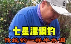 七星漂正确的调漂方法(实用技巧如何正确调节七星漂，漂亮的钓鱼技巧)