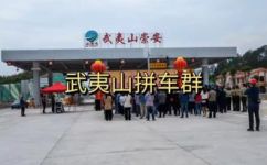 厦门到武夷山多少公里(厦门至武夷山的距离是多少公里？)