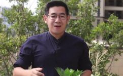 铁树怎么养殖方法和注意事项(铁树养殖攻略：详解方法和注意事项)