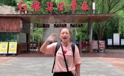 红旗渠旅游(红旗渠旅游攻略：探索红旗渠的美丽风景与历史文化)