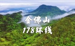 金佛山海拔多少米(攻略金佛山海拔高度是多少？一起探寻景区最佳路线)