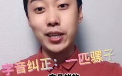一匹马的拼音是什么(揭秘一匹马的拼音是什么？如何正确拼写？)
