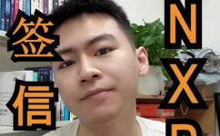 nxp芯片是哪个国家的(NXP芯片厂商是属于哪个国家的品牌？解析NXP芯片的国籍归属)