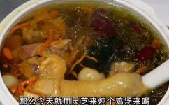 灵芝炖鸡的做法是什么(实测有效如何制作美味的灵芝炖鸡？)