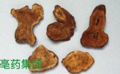 焦白术的功效与作用(焦白术的功效和作用，详解)