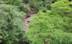 十万大山在广西哪里(广西旅游探寻十万大山的位置广西十万大山景区介绍)