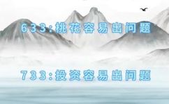 733是什么意思(解密733：究竟代表什么含义？)