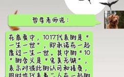 1017表示什么意思和解释(探索1017的含义和解释 )
