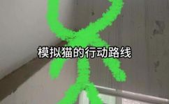 猫跑出去了怎么找回来(如何找回跑丢的猫？分享几个有效的方法)