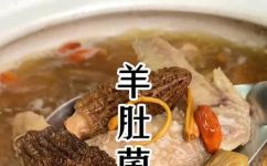 羊肚菌煲鸡汤的家常做法(家常羊肚菌煲鸡汤的做法，教你一次搞定)