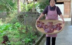 猪肝怎样腌制(如何腌制美味猪肝？分享几种易学的家常做法)