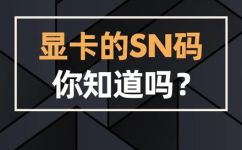 sn码是什么意思(SN码的作用及含义解析)