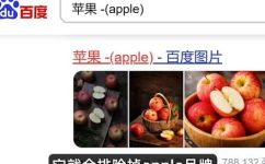 请问百度的网址是什么(百度官网网址查询，你知道吗？)