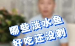没有鱼刺的鱼有哪些(有哪些不含鱼刺的鱼品种？)