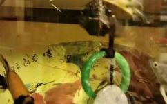 如何区分水龟于旱龟(水龟和旱龟的区别及辨别方法：详解)