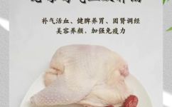 老母鸡汤的功效(老母鸡汤的健康功效与营养价值，如何炖制最佳？)