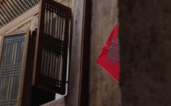 臭鱼是什么鱼做的(臭鱼究竟是哪种鱼制成的？解析臭鱼真相)