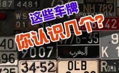 wj车牌开头是什么车牌(WJ车牌开头的车辆类型是什么？揭秘WJ车牌的含义)