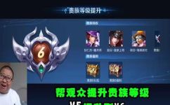 王者荣耀贵族等级(如何提升王者荣耀贵族等级？)