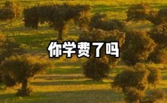 电脑如何快速锁屏(电脑快速锁屏方法：手把手教你一分钟完成)