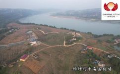 荔枝已经开始上市了(2021新鲜荔枝上市啦享受盛夏时令美味)