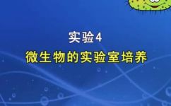 常做微生物实验有哪些(微生物实验常见的实验操作和技巧有哪些？)