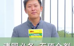 石硫合剂的作用与用量(石硫合剂的用途及使用方法)