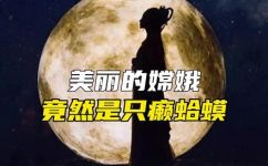嫦娥奔月指的是什么动物(嫦娥奔月：揭秘动物之谜)