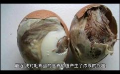 吃毛鸡蛋补什么(吃毛鸡蛋能补哪些营养？详解毛鸡蛋的营养价值与吃法)