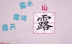 露天的读音是什么(露天的正确读音是什么？掌握正确发音，避免口误和误解)