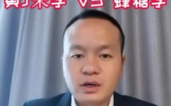 冰糖李与蜂糖李区别(冰糖李和蜂糖李有哪些不同？全面分析比较)