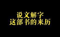 说文解字的说文解字叙(优化后了解说文解字叙说文解字的起源和意义)
