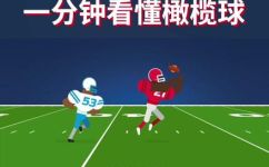 什么是橄榄球(橄榄球介绍：了解橄榄球基本知识)