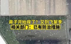 杨絮是什么(1. 杨絮是什么？了解杨絮的特点来源功效等重要信息)