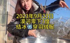 上冻是几月份(上冻的时间是哪个月份？遇冬季气温变冷的必知资讯)