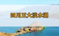四川指的是哪四个川(四川指哪四个川？全面介绍四川省内主要河流及地理位置)
