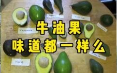 牛油果绿色的可以吃吗(牛油果是可以食用的吗？了解绿色果实的不同特点)