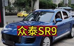sr9是什么车(SR9是哪家汽车品牌生产的？车型怎么样？)