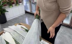 勿忘我花如何养(勿忘我花的养护方法：让花儿更加美丽)