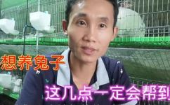 兔子不能养三年注意事项(如何养好兔子？三年养兔经验分享)