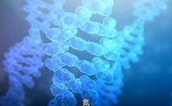 空气中的含有哪些元素(探究空气中含有哪些元素，了解元素对人体健康的重要作用)
