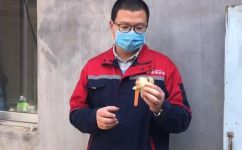 生姜上有白色的绒毛什么情况(生姜上的白色绒毛是什么？如何处理？ )