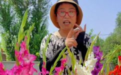剑兰花养殖技术和方法(剑兰花的养殖方法和技巧)