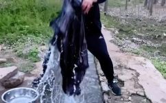 汝窑在哪里(汝窑的地址在哪里？寻找汝窑的位置)