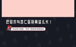 巴旦木是桃仁吗(巴旦木与桃仁有什么区别？你了解吗？)