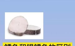 北极鳕鱼和银鳕鱼区别(北极鳕鱼和银鳕鱼有什么不同？)