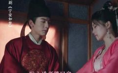 岳书立是哪部电影的主人公(岳父大人的小娇妻中的男主角岳书立是谁？)